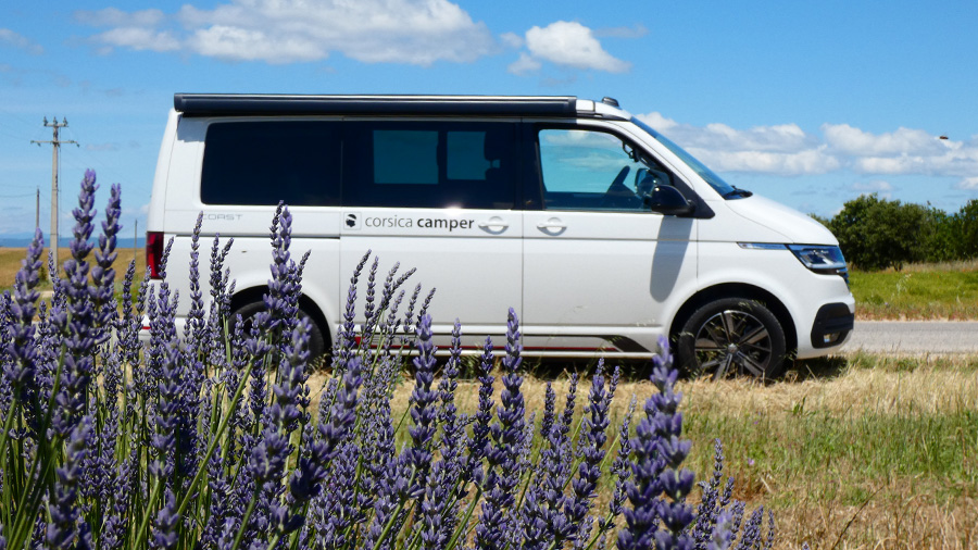 Volkswagen California Edition Corsica